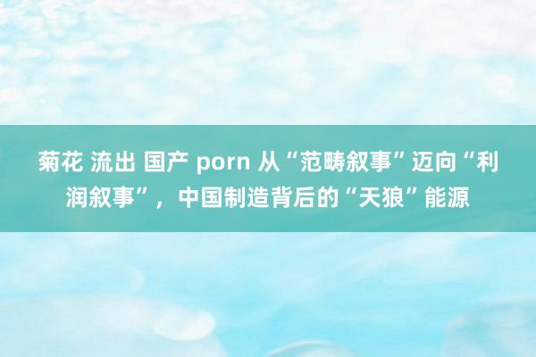 菊花 流出 国产 porn 从“范畴叙事”迈向“利润叙事”，中国制造背后的“天狼”能源