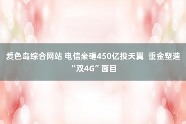 爱色岛综合网站 电信豪砸450亿投天翼  重金塑造“双4G”面目